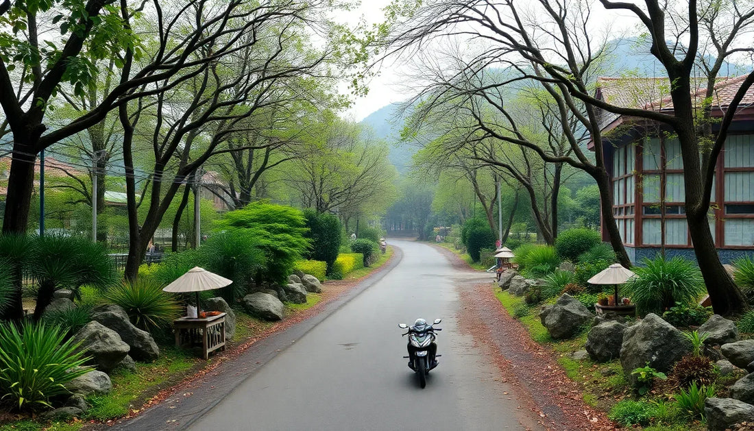 Motorcycle on a scenic tree-lined road with greenery and traditional lanterns, tranquil setting