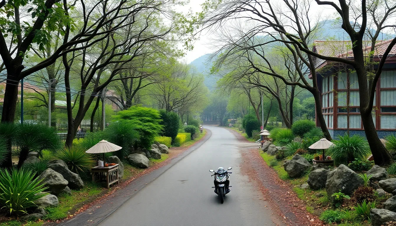 Motorcycle on a scenic tree-lined road with greenery and traditional lanterns, tranquil setting